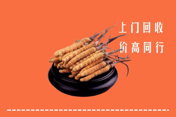 高价求购：山阳区回收散虫草