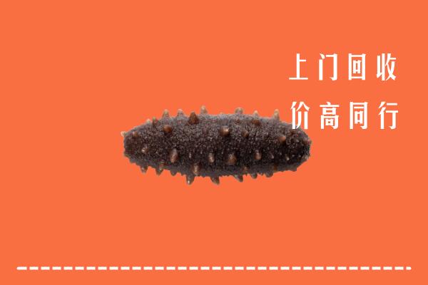 高价求购：山阳区回收海参