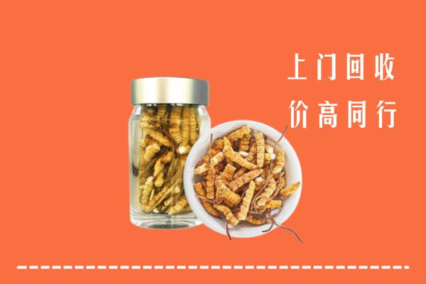 山阳区高价回收冬虫夏草
