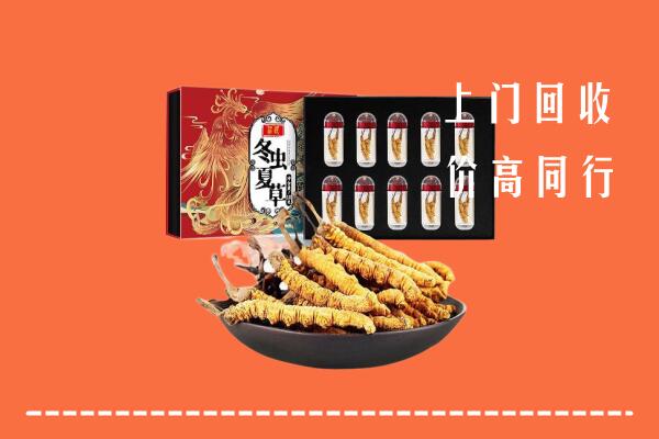山阳区回收虫草